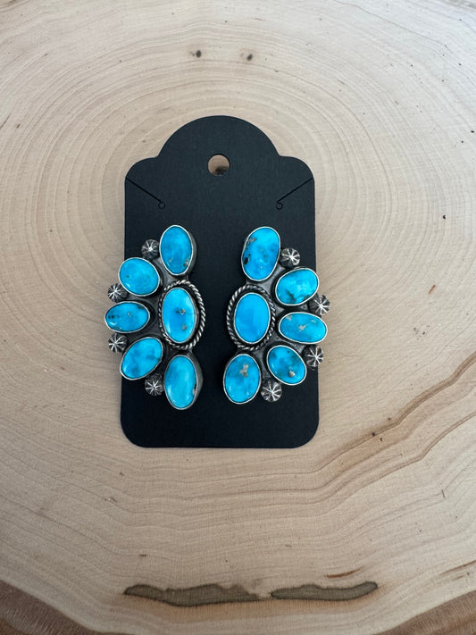 Blue Bird Turquoise Clusters