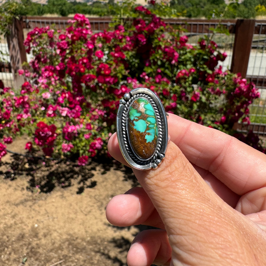 Sonoran Turquoise Ring spread double band size 7.5